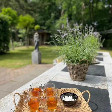 Villa Exclusive Ams Area *