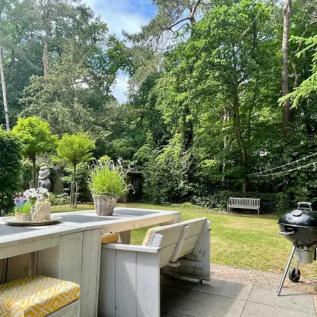 Exclusive Ams Area *